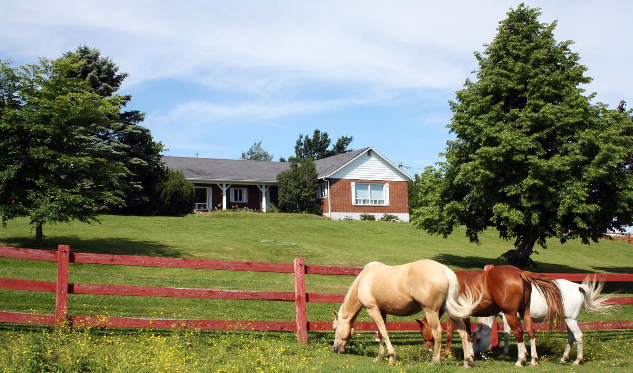 مبيت وإفطار Saint-Hermenegilde Ranch St-Hubert المظهر الخارجي الصورة